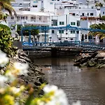 Palmeras Puerto De Mogan