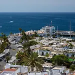 Palmeras *