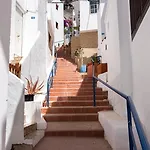 Palmeras