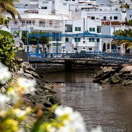 Palmeras Puerto De Mogan