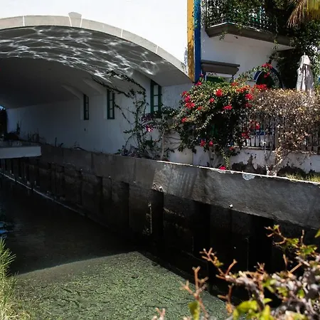 Palmeras Appartement