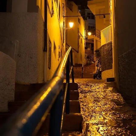 Palmeras Apartamento *
