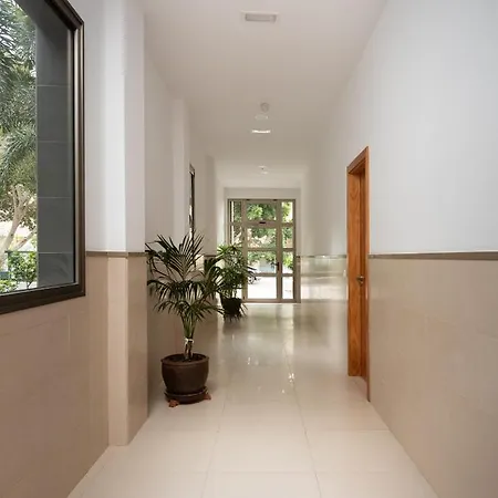 Palmeras *