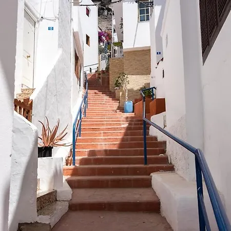Palmeras