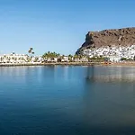 Palmeras Puerto De Mogan