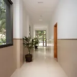 Palmeras *